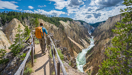 Grand Canyon of Yellowstone